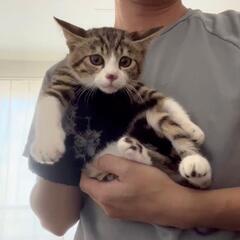 ★里親様✨募集致します★凪くん