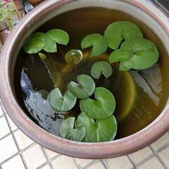 CASIO/カシオ EXILIM EX-ZR700 デジタルカメラ