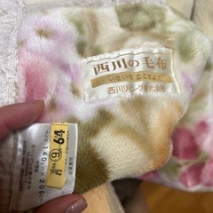 西川毛布・丸八ファートン敷布団2点セットの画像