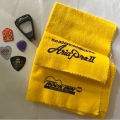 ギター ピック ケア用品 アコギ 新星堂 ROCK INN 合格祈願