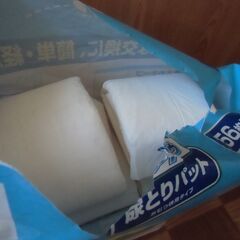 尿とりパット ケアドゥ 男性用 お譲りします。＊石川県＊美川より＊期間限定の画像