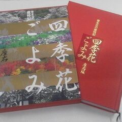 四季花ごよみ 草木花の歳時記 座右版 図鑑の画像