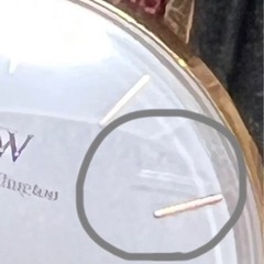 Danielle Wellingtonの腕時計の画像