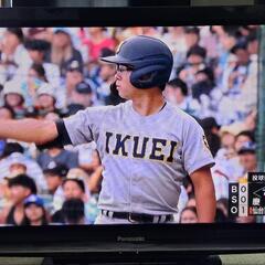 【Panasonic VIERA】TH-P42R1 2010年