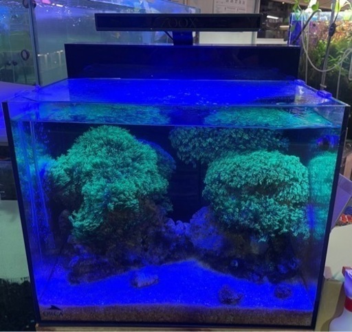 ORCA シェルⅡ  レイアウトセット