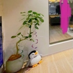 プランター　鉢　鉢カバー　プランターカバー　大型