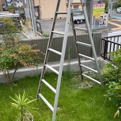脚立　約2m