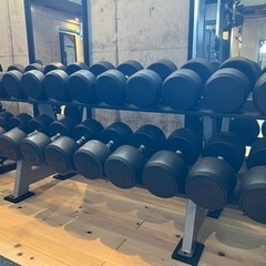EVOLGEAR ダンベルセット 50kg〜27.5kg