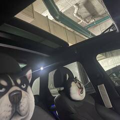 最上級グレードAudi4WD 軽油2.0　免税対象車　車検付き乗って帰れますの画像