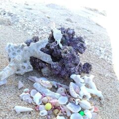 花とYOGAとアートのある暮らしの画像