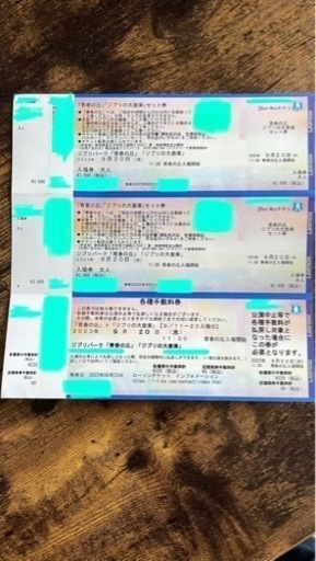 ジブリパーク9/20（水）青春の丘×ジブリの大倉庫×どんどこ森　大人2名分