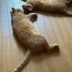 友だち募集です！