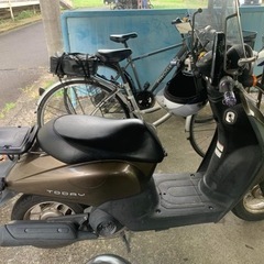 honda 50cc