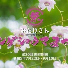 【山男の募集】9/9土 御岳山レンゲショウマまつり