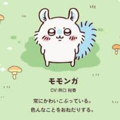 チンチラ友達なりましょう♪単発OK♪(ฅ'ω'ฅ) - その他