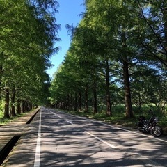 ツーリングクラブ　メンバー募集 - 京都市