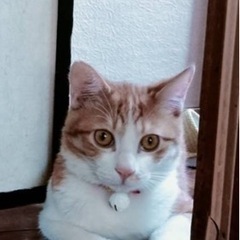 稲穂君　9ヶ月男の子