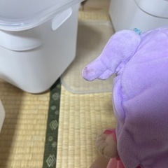エルちゃんの画像
