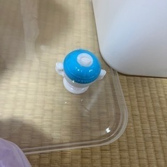 エルちゃんの画像