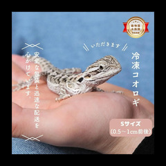 養殖冷凍コオロギ売ります。爬虫類、魚類等、ペットの餌にどうぞ！