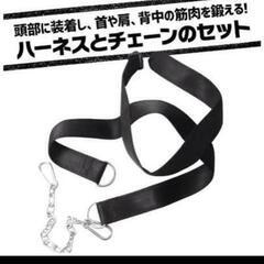 ヘッドハーネスの画像