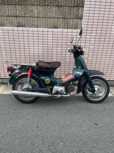 リトルカブ絶好調！