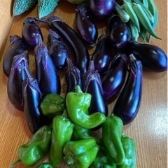 新鮮野菜！採れたて！