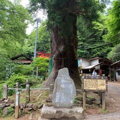 【同行者募集】8/27(日) - 正丸駅→伊豆ヶ岳→竹寺方面【低山ハイキング】 - 友達