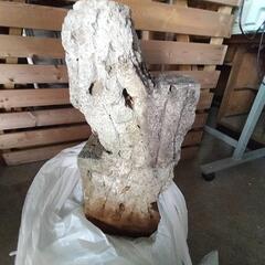 石灯籠の土台のみの画像