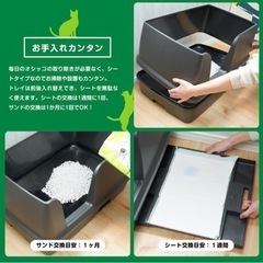 猫　デオトイレの画像