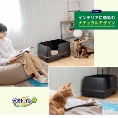 猫　デオトイレの画像