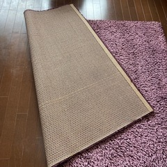 パープル(紫色)のカーペット(再投稿)の画像