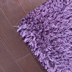 パープル(紫色)のカーペット(再投稿)の画像