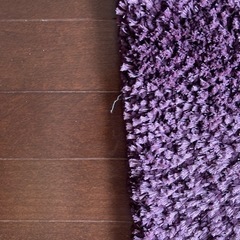 パープル(紫色)のカーペット(再投稿)の画像