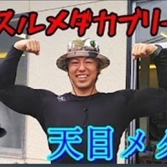 育英高校野球部⚾️感動をありがとうセール！！天目メダカ(仙台) - 柴田郡