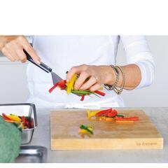 103fk 【訳あり・未使用品】ラバーゼ 有元葉子のまな板26cm

の画像