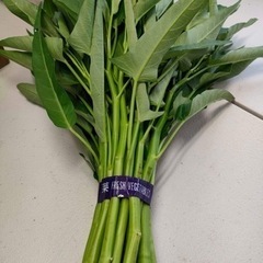 東大阪市六万寺より 空芯菜1束 Kangkong Rau muống