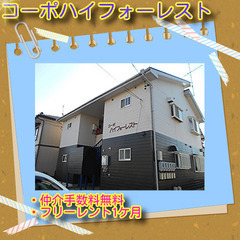 🚒コーポハイフォーレスト201号室🚒🏠磐田市駒場のお部屋★間取り...