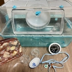 ハムスター飼育セット‪🐹‪‪❤︎‬