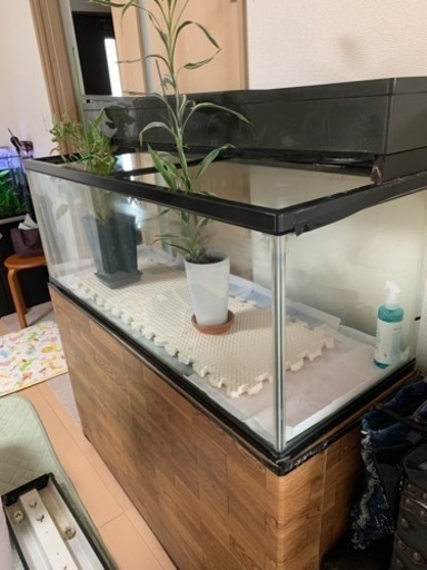 【再出品①】水槽【付属：電灯・濾過装置】
