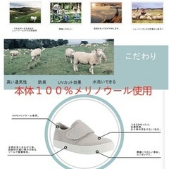 「Kid's Wool Shoes 03」 子供 ウール キッズシューズ スニーカー 無地 シンプル 超軽量 履きやすい 男の子 女の子 子供靴 通学 通園 16cm ~ 20cmの画像