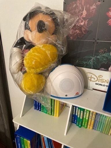 返信英語教育で大人気！ディズニー英語システム　DWE