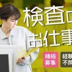 外壁材の検査/補修と梱包作業