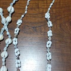 貝殻のネックレスの画像