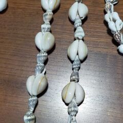 貝殻のネックレスの画像