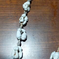 貝殻のネックレスの画像