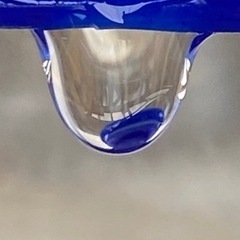 ◾️メダカの生き餌ゾウリムシの画像