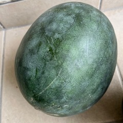 終了しました　黒玉小玉スイカ 1つ400円