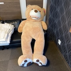 コストコ　クマのぬいぐるみの画像