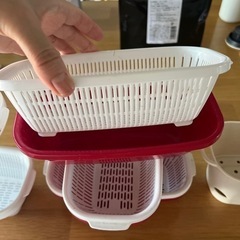 水耕栽培にどうぞ！の画像